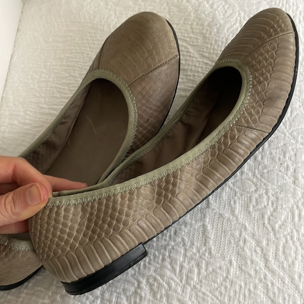 Report women’s Marion snake ballet flats